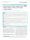 Scholarly article on topic 'Characterization of sulfur oxidizing bacteria related to biogenic sulfuric acid corrosion in sludge digesters'