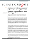 Scholarly article on topic 'Frankincense and myrrh suppress inflammation via regulation of the metabolic profiling and the MAPK signaling pathway'