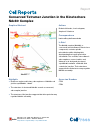 Scholarly article on topic 'Conserved Tetramer Junction in the Kinetochore Ndc80 Complex'