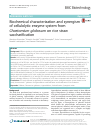 Scholarly article on topic 'Biochemical characterization and synergism of cellulolytic enzyme system from Chaetomium globosum on rice straw saccharification'