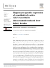 Scholarly article on topic 'Hepatocyte-specific expression of constitutively active Alk5 exacerbates thioacetamide-induced liver injury in mice'