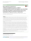 Scholarly article on topic 'Recombinant expression of thermostable processive MtEG5 endoglucanase and its synergism with MtLPMO from Myceliophthora thermophila during the hydrolysis of lignocellulosic substrates'