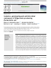 Scholarly article on topic 'Isolation, genotyping and antimicrobial resistance of Shiga toxin-producing  Escherichia coli'