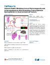 Scholarly article on topic 'Cohesin Rad21 Mediates Loss of Heterozygosity and Is Upregulated via Wnt Promoting Transcriptional Dysregulation in Gastrointestinal Tumors'