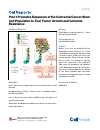 Scholarly article on topic 'Prox1 Promotes Expansion of the Colorectal Cancer Stem Cell Population to Fuel Tumor Growth and Ischemia Resistance'