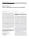 Scholarly article on topic 'Sorption of methyl-parathion and carbaryl by an organo-bentonite'
