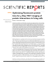 Scholarly article on topic 'Optimizing fluorescent protein trios for 3-Way FRET imaging of protein interactions in living cells'