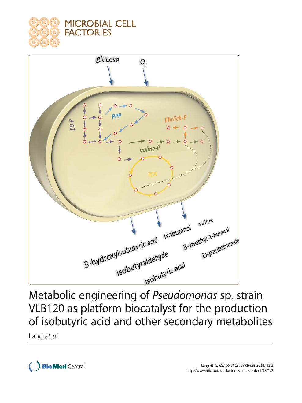 Metabolic engineering of Pseudomonas sp. strain VLB120 as platform  biocatalyst for the production of isobutyric acid and other secondary  metabolites – topic of research paper in Industrial Biotechnology. Download  scholarly article PDF