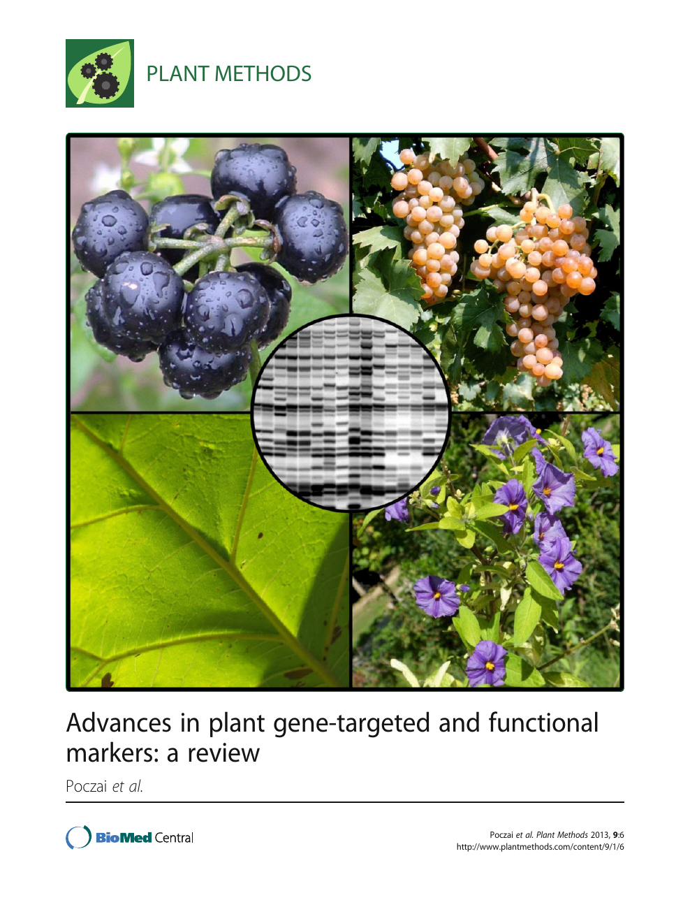 Advances In Plant Gene Targeted And Functional Markers A Review
