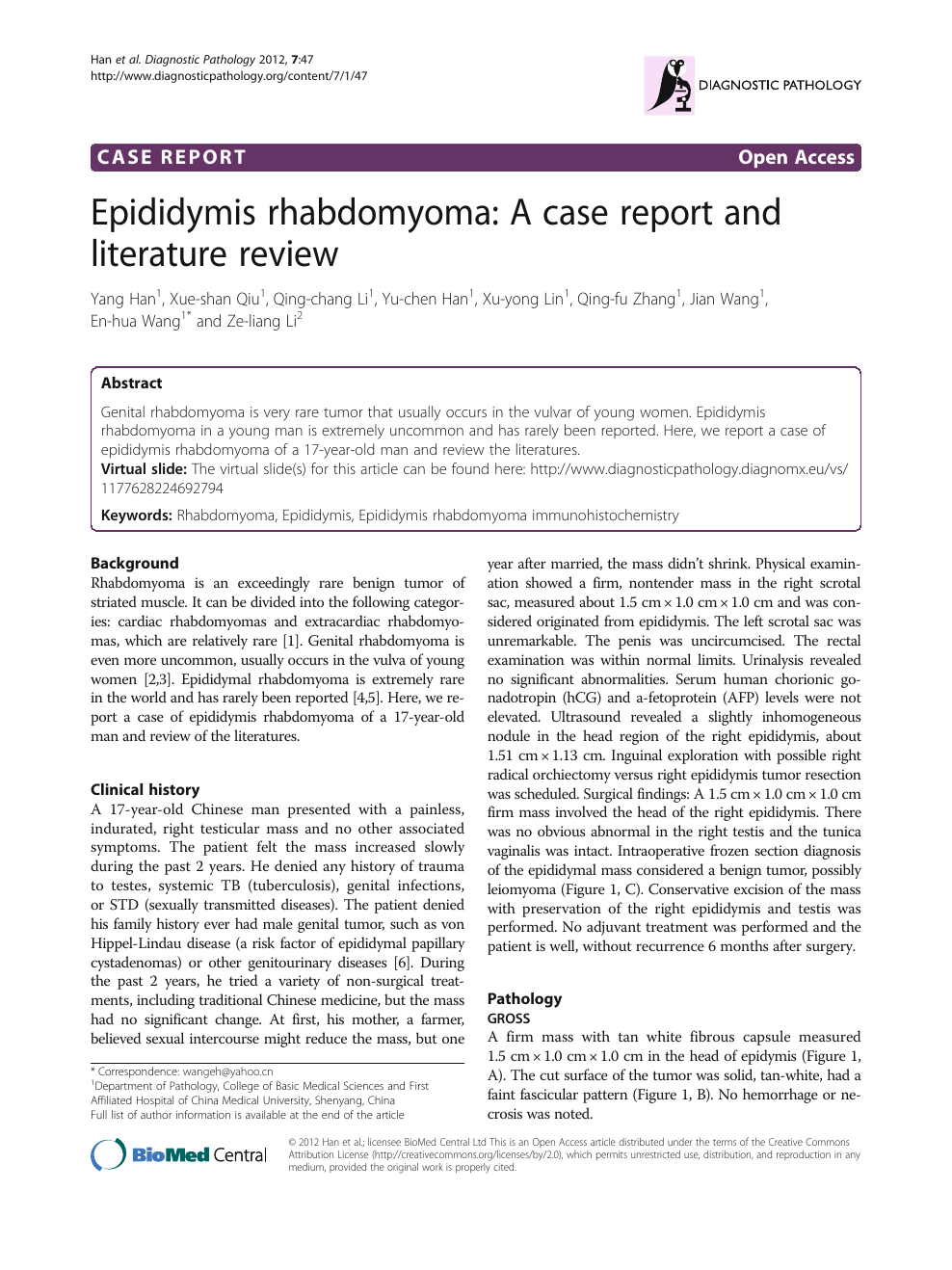 Epididymis rhabdomyoma: A case report and literature review