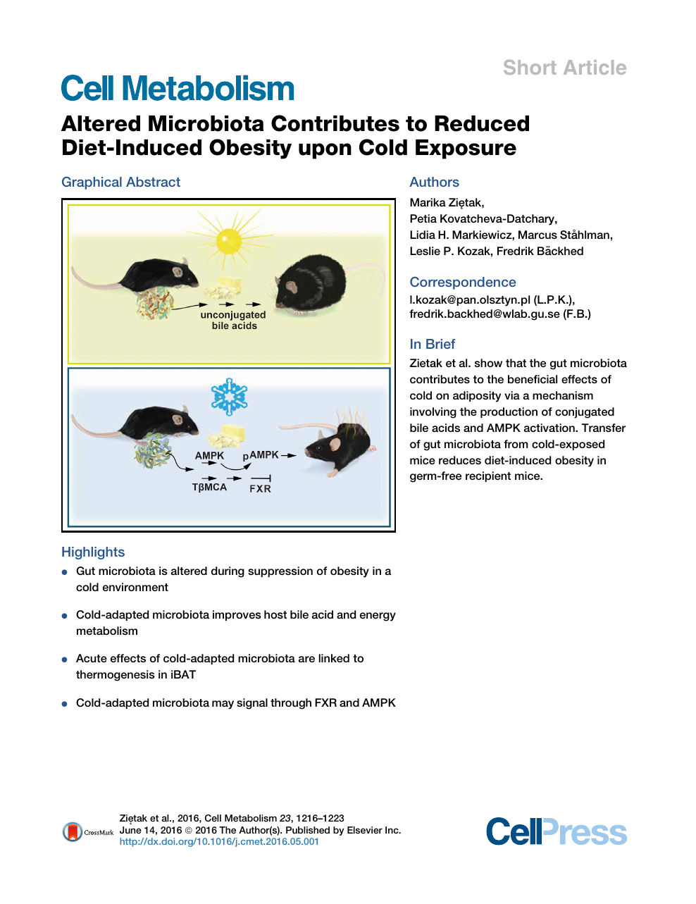 Altered Microbiota Contributes To Reduced Diet Induced Obesity Upon Cold Exposure Topic Of Research Paper In Biological Sciences Download Scholarly Article Pdf And Read For Free On Cyberleninka Open Science Hub