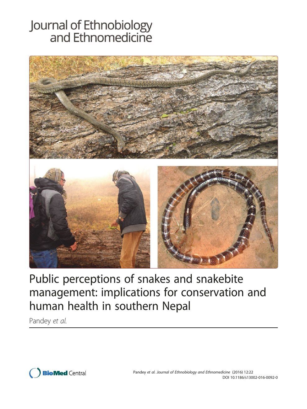 Lv Snake Pendant  Natural Resource Department
