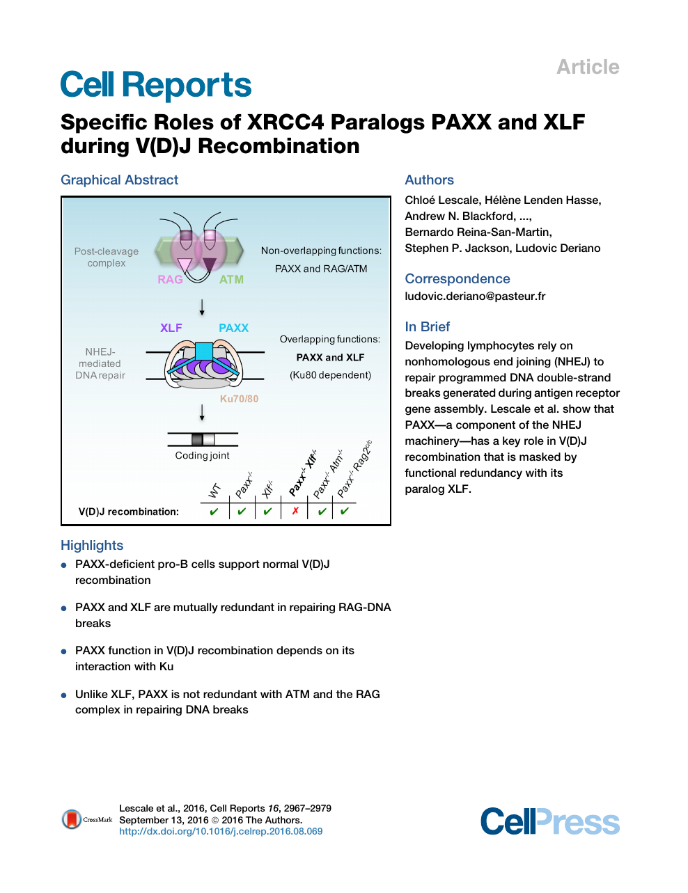 Specific Roles Of Xrcc4 Paralogs Paxx And Xlf During V D J Recombination Topic Of Research Paper In Biological Sciences Download Scholarly Article Pdf And Read For Free On Cyberleninka Open Science Hub
