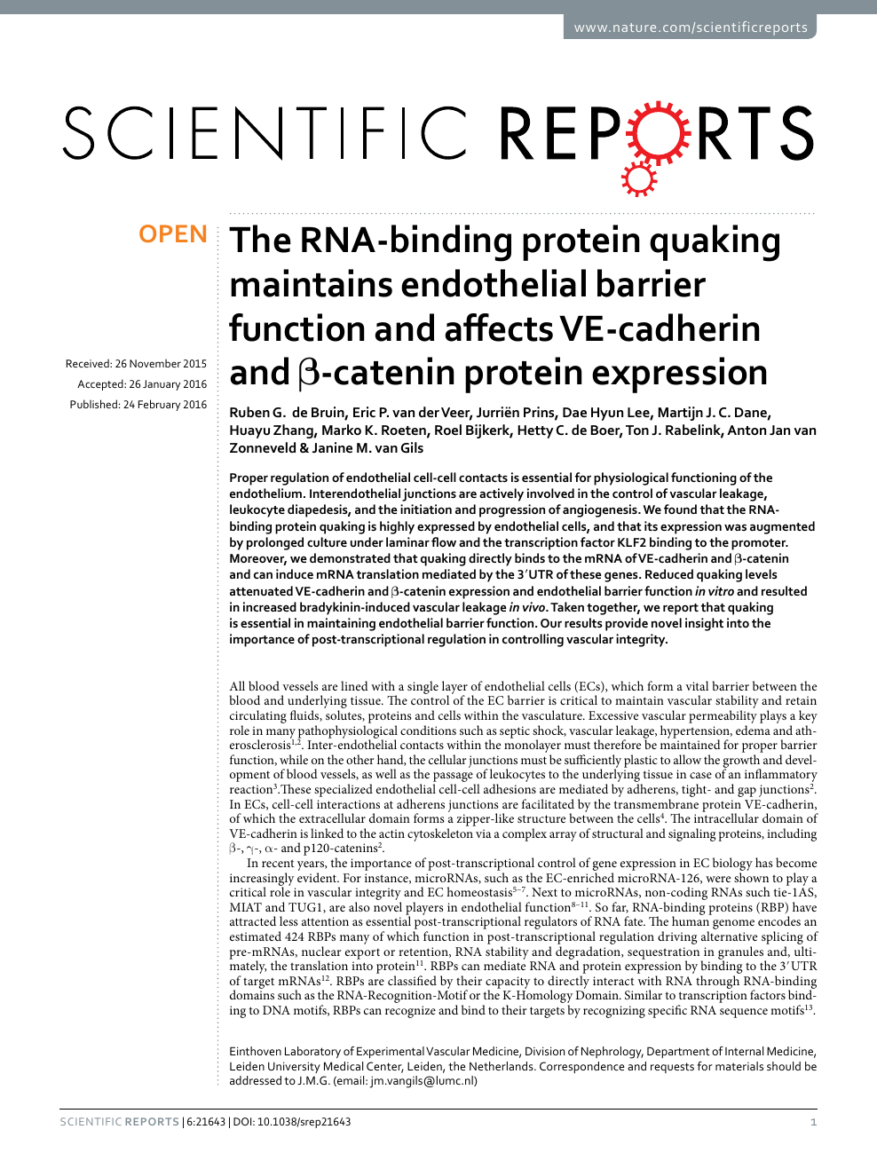The Rna Binding Protein Quaking Maintains Endothelial Barrier Function And Affects Ve Cadherin And B Catenin Protein Expression Topic Of Research Paper In Biological Sciences Download Scholarly Article Pdf And Read For Free On
