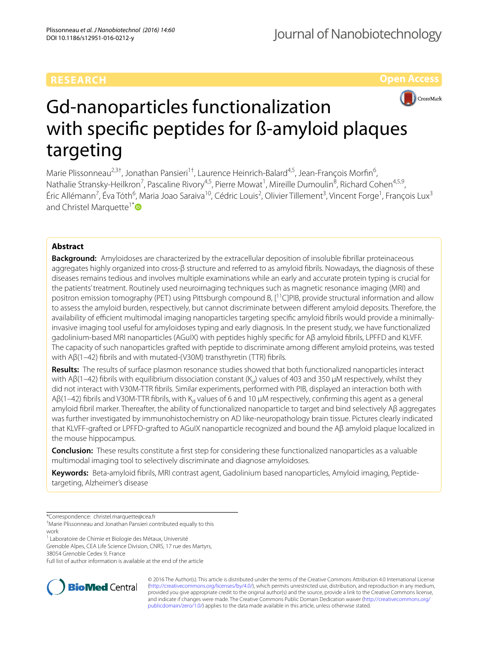 Gd Nanoparticles Functionalization With Specific Peptides For Ss Amyloid Plaques Targeting Topic Of Research Paper In Nano Technology Download Scholarly Article Pdf And Read For Free On Cyberleninka Open Science Hub