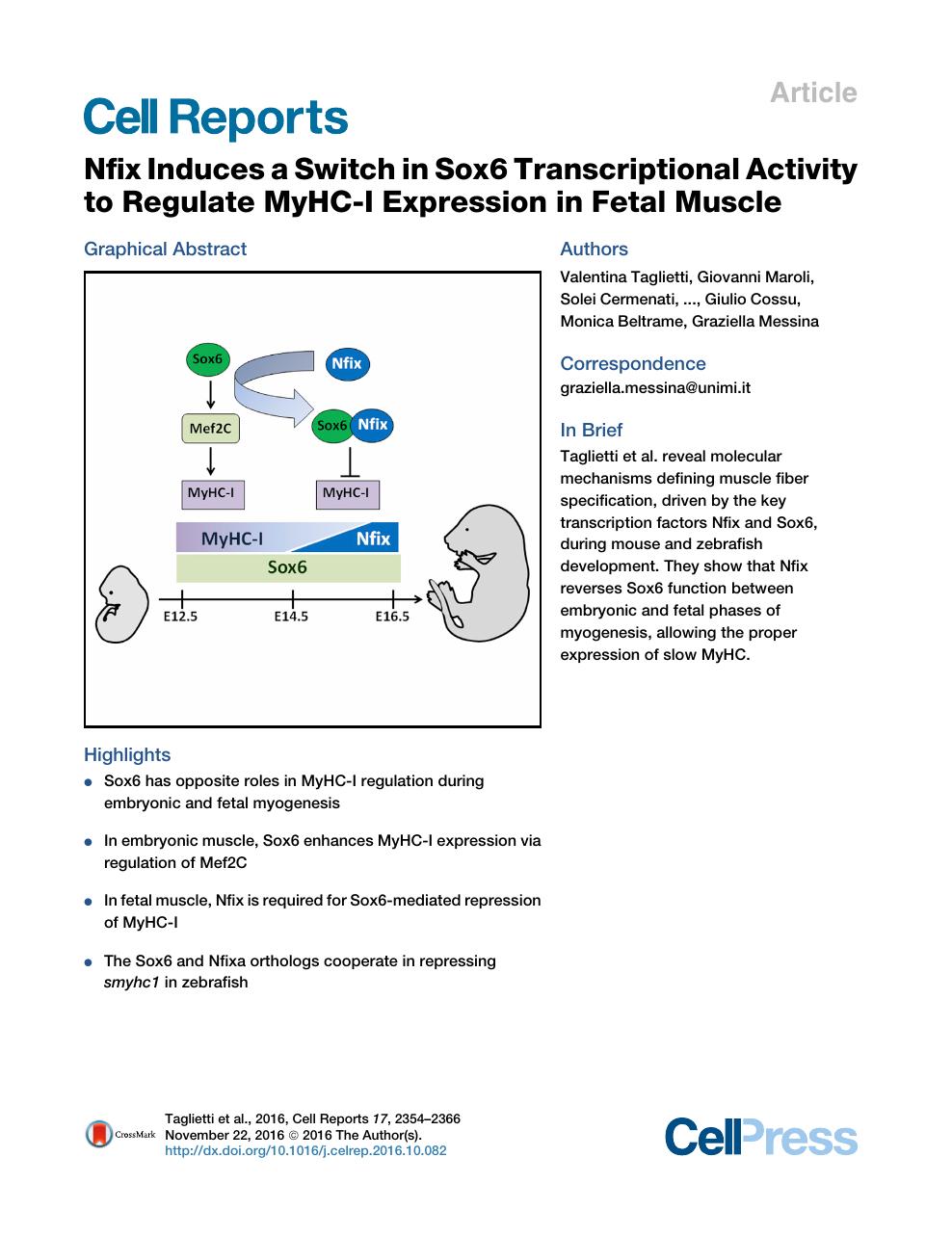 Nfix Induces A Switch In Sox6 Transcriptional Activity To Regulate Myhc I Expression In Fetal Muscle Topic Of Research Paper In Biological Sciences Download Scholarly Article Pdf And Read For Free On
