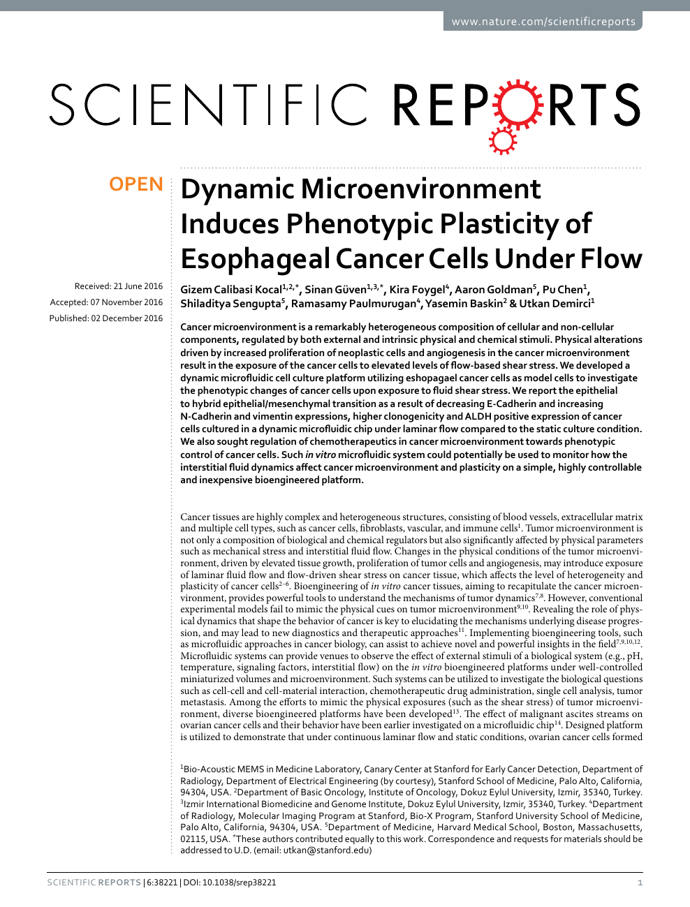 Dynamic Microenvironment Induces Phenotypic Plasticity Of