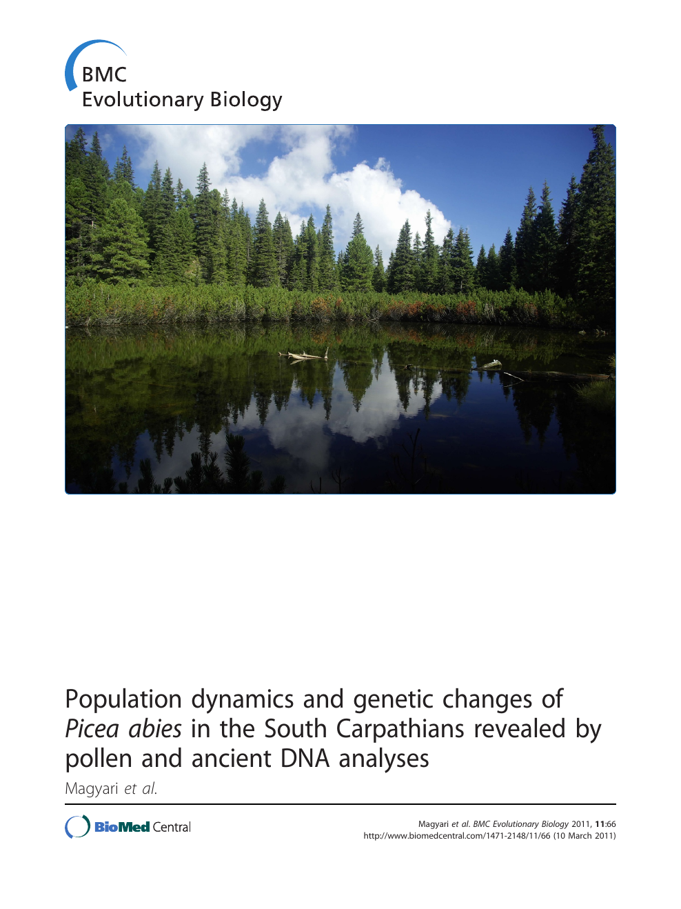 genetic changes of Picea abies 