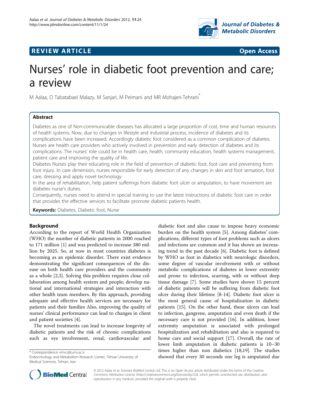 nurses role in diabetes care