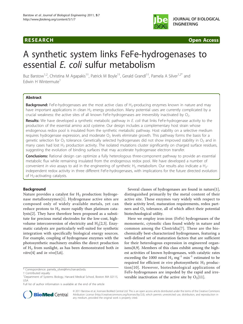 A Synthetic System Links Fefe Hydrogenases To Essential E Coli Sulfur Metabolism Topic Of Research Paper In Biological Sciences Download Scholarly Article Pdf And Read For Free On Cyberleninka Open Science Hub