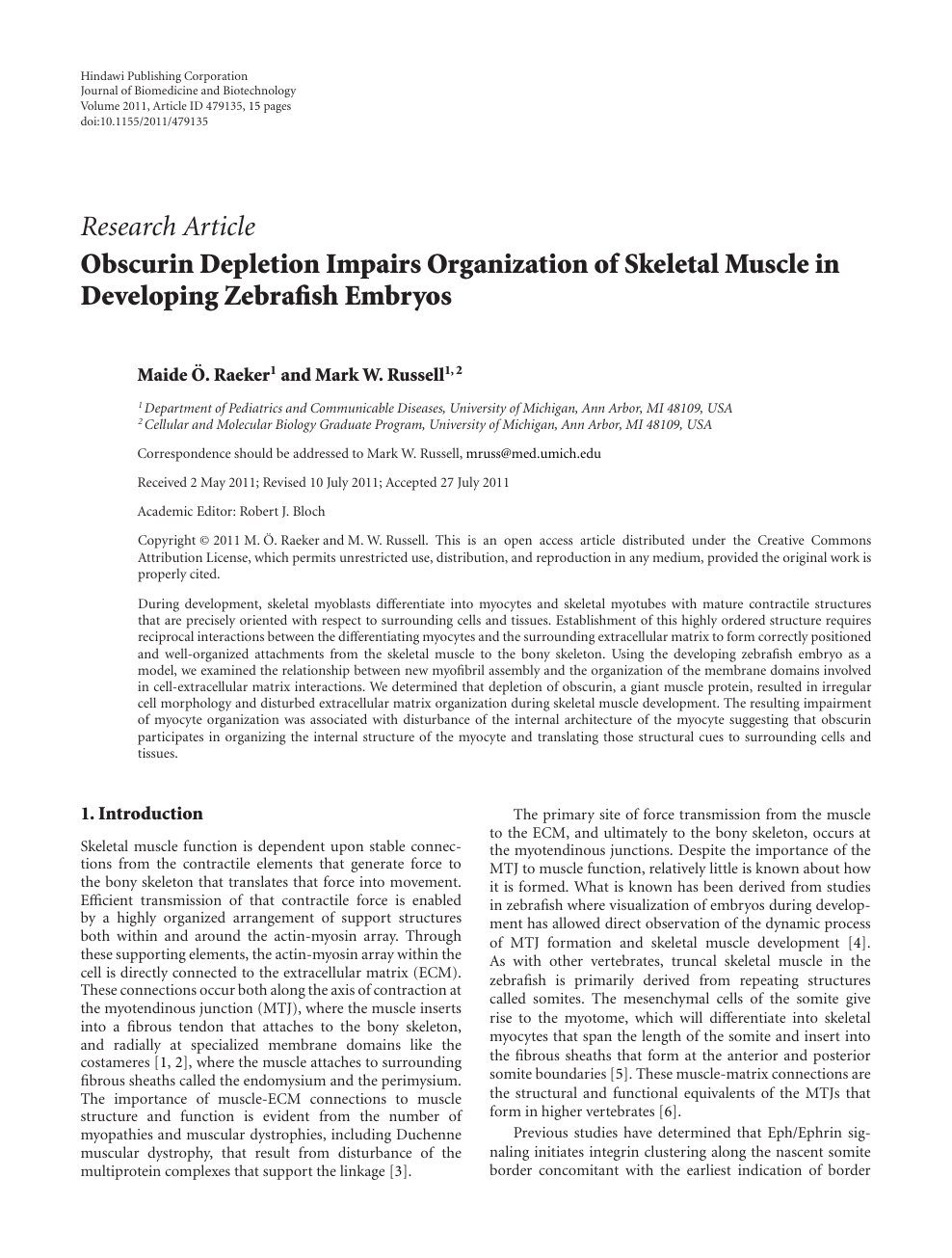 Obscurin Depletion Impairs Organization Of Skeletal Muscle In Developing Zebrafish Embryos Topic Of Research Paper In Biological Sciences Download Scholarly Article Pdf And Read For Free On Cyberleninka Open Science Hub