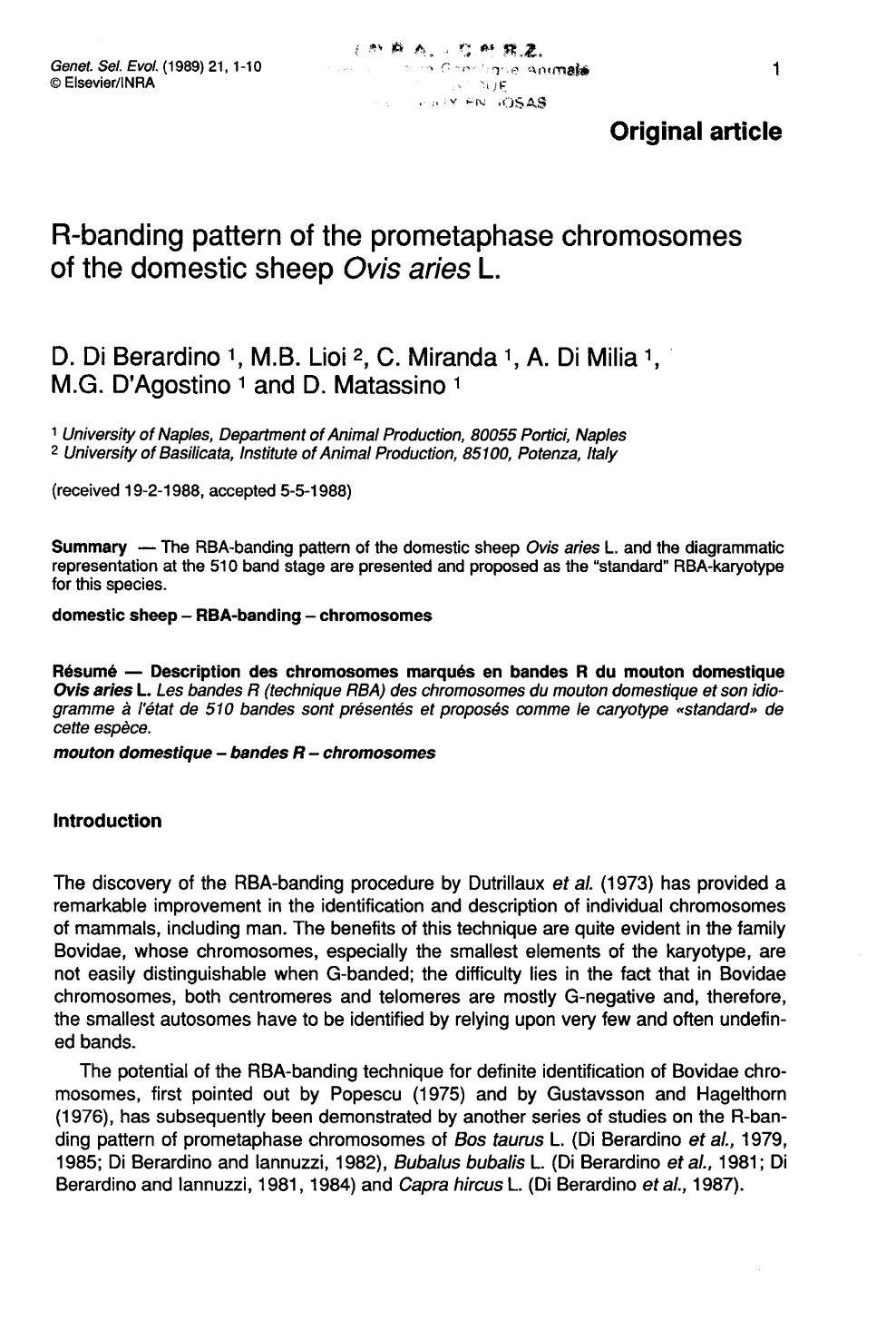 R Banding Pattern Of The Prometaphase Chromosomes Of The Domestic Sheep Ovis Aries L Topic Of Research Paper In Biological Sciences Download Scholarly Article Pdf And Read For Free On Cyberleninka Open
