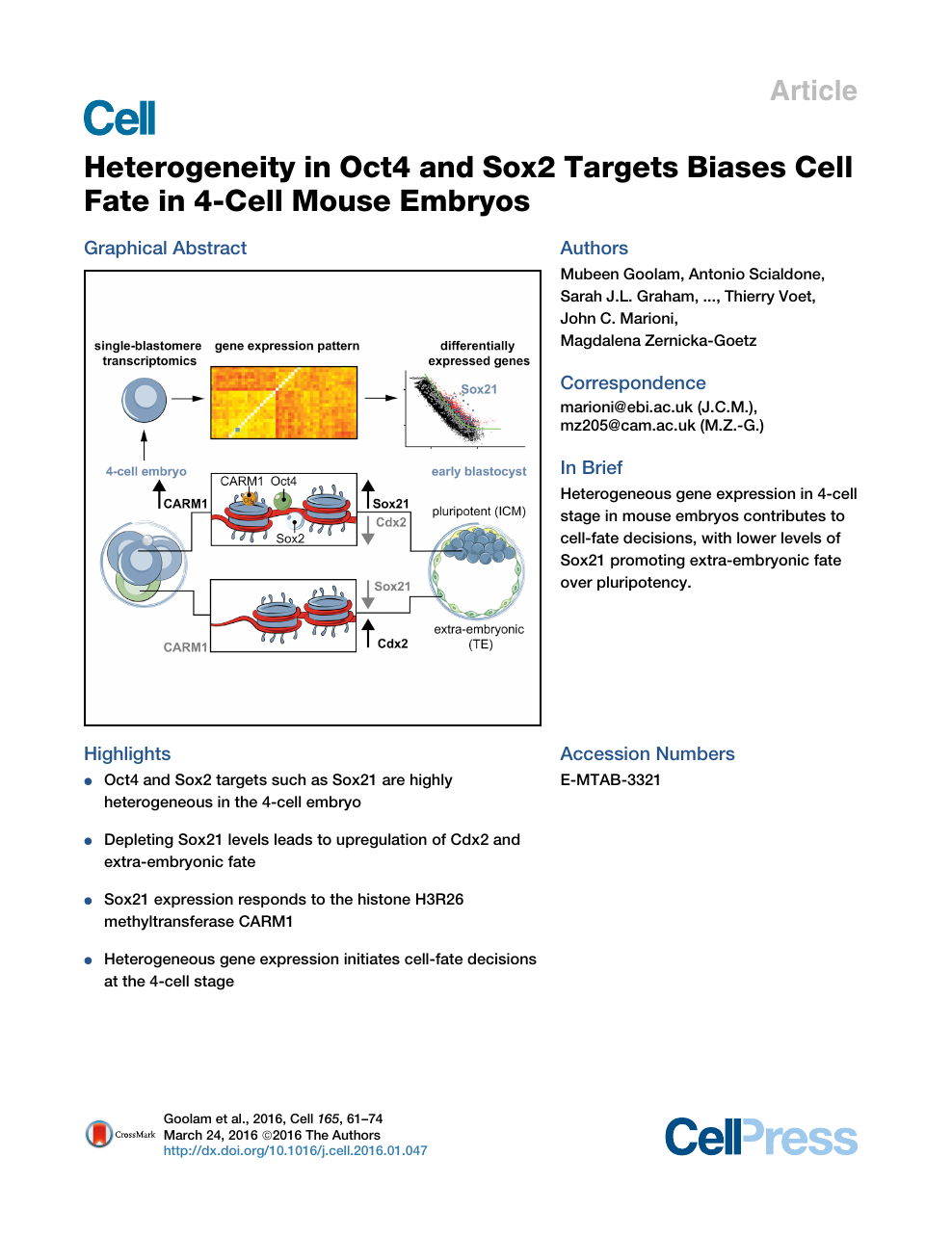 Heterogeneity In Oct4 And Sox2 Targets Biases Cell Fate In 4 Cell Mouse Embryos Topic Of Research Paper In Biological Sciences Download Scholarly Article Pdf And Read For Free On Cyberleninka Open