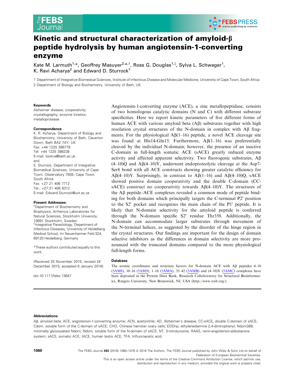 Kinetic And Structural Characterization Of Amyloid B Peptide Hydrolysis By Human Angiotensin 1 Converting Enzyme Topic Of Research Paper In Biological Sciences Download Scholarly Article Pdf And Read For Free On Cyberleninka Open Science