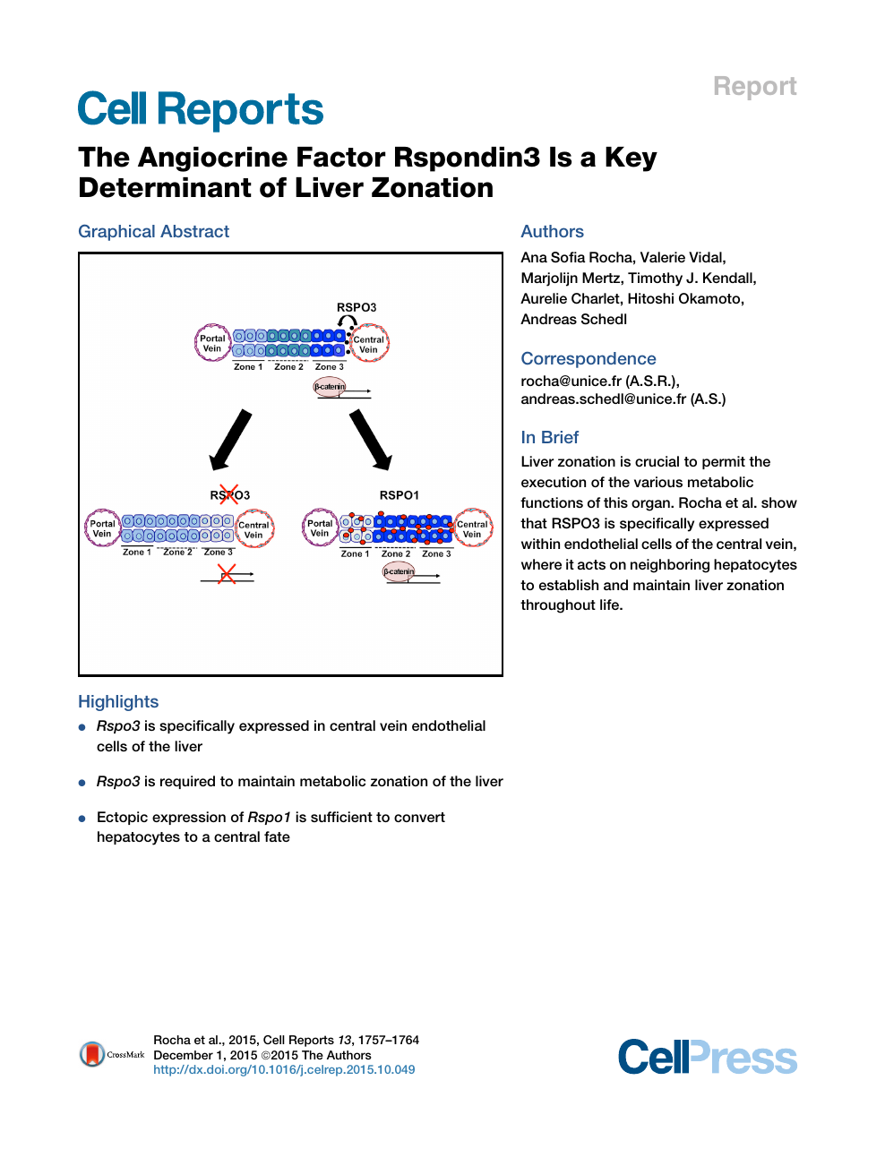 The Angiocrine Factor Rspondin3 Is A Key Determinant Of Liver Zonation Topic Of Research Paper In Biological Sciences Download Scholarly Article Pdf And Read For Free On Cyberleninka Open Science Hub