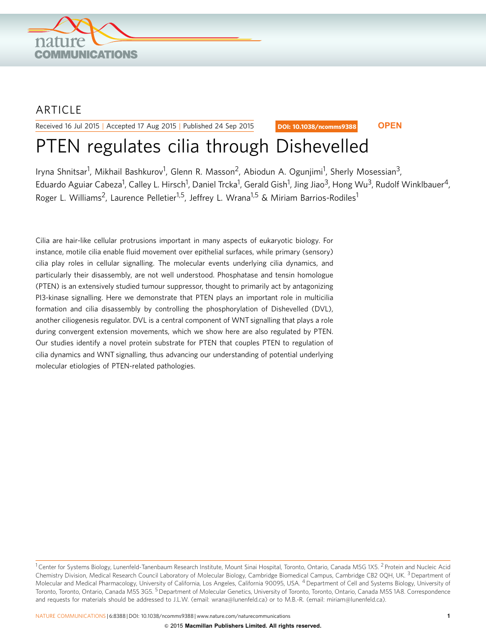 Pten Regulates Cilia Through Dishevelled Topic Of Research Paper In Biological Sciences Download Scholarly Article Pdf And Read For Free On Cyberleninka Open Science Hub
