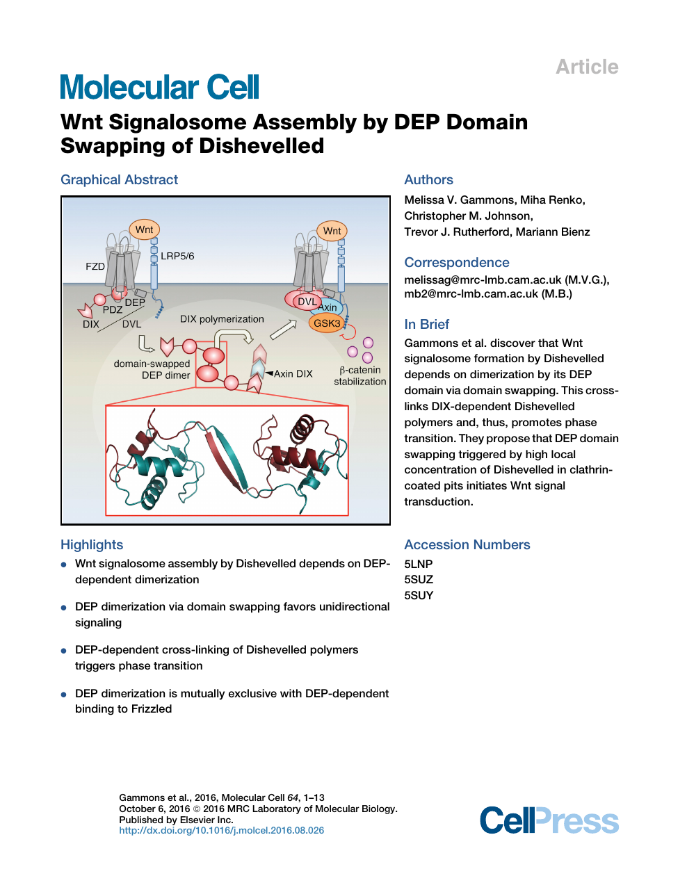 Wnt Signalosome Assembly By Dep Domain Swapping Of Dishevelled Topic Of Research Paper In Biological Sciences Download Scholarly Article Pdf And Read For Free On Cyberleninka Open Science Hub