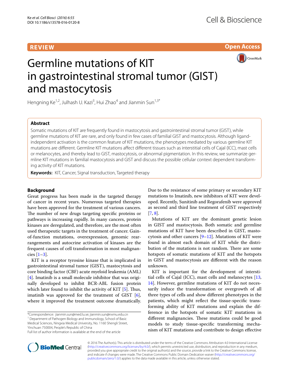 Germline Mutations Of Kit In Gastrointestinal Stromal Tumor Gist And Mastocytosis Topic Of Research Paper In Biological Sciences Download Scholarly Article Pdf And Read For Free On Cyberleninka Open Science Hub