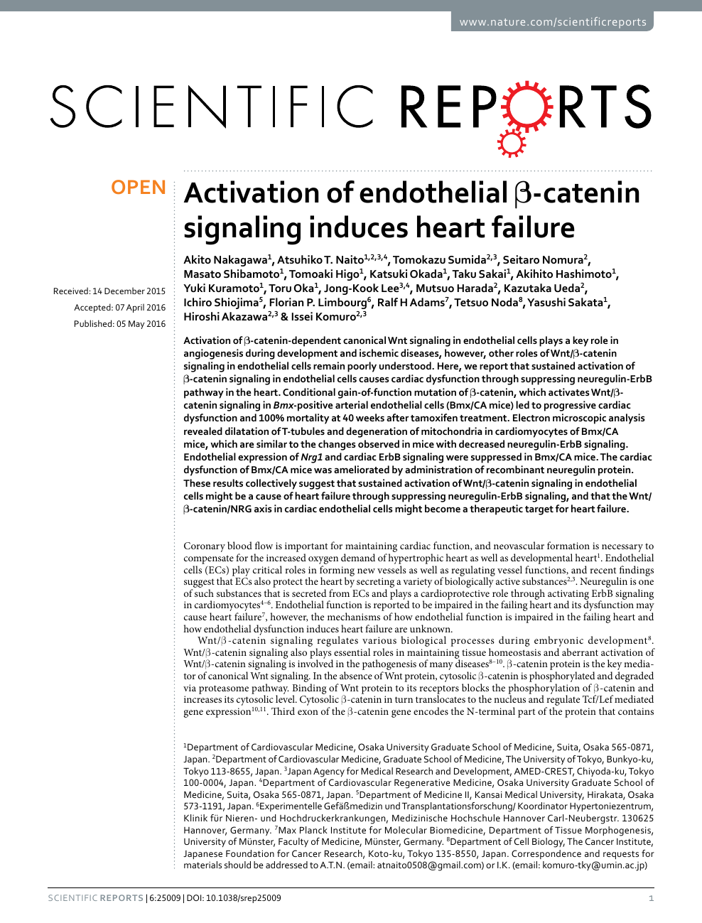 Activation Of Endothelial B Catenin Signaling Induces Heart Failure Topic Of Research Paper In Basic Medicine Download Scholarly Article Pdf And Read For Free On Cyberleninka Open Science Hub
