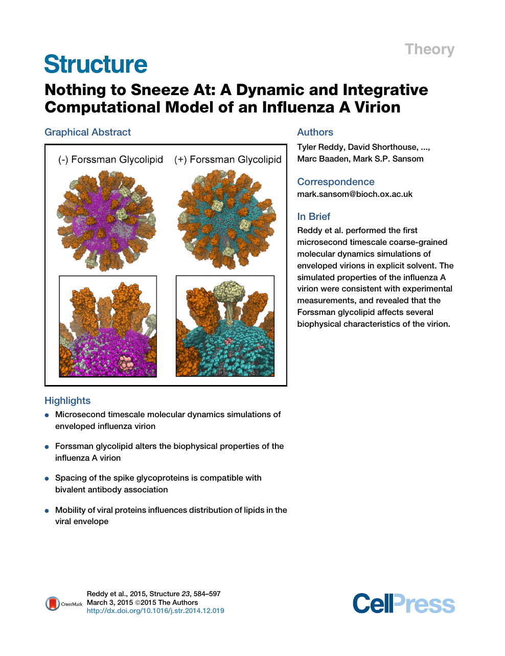 Understanding Virus Structure and Dynamics through Molecular Simulations