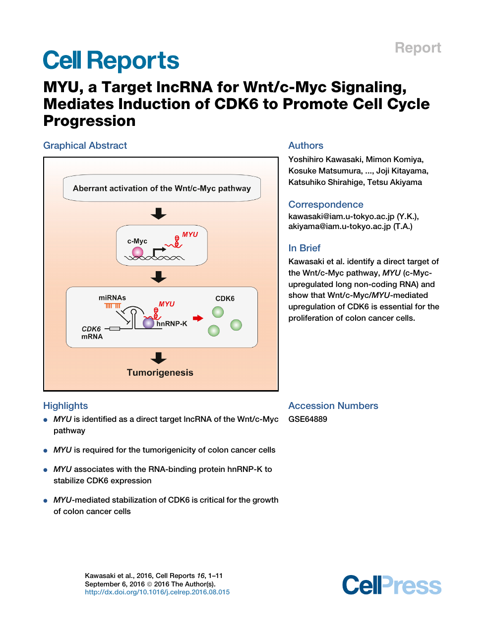 Myu A Target Lncrna For Wnt C Myc Signaling Mediates Induction Of Cdk6 To Promote Cell Cycle Progression Topic Of Research Paper In Biological Sciences Download Scholarly Article Pdf And Read For Free