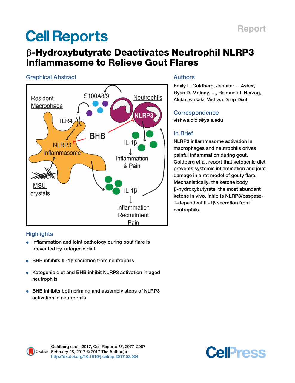 B Hydroxybutyrate Deactivates Neutrophil Nlrp3 Inflammasome To Relieve Gout Flares Topic Of Research Paper In Biological Sciences Download Scholarly Article Pdf And Read For Free On Cyberleninka Open Science Hub