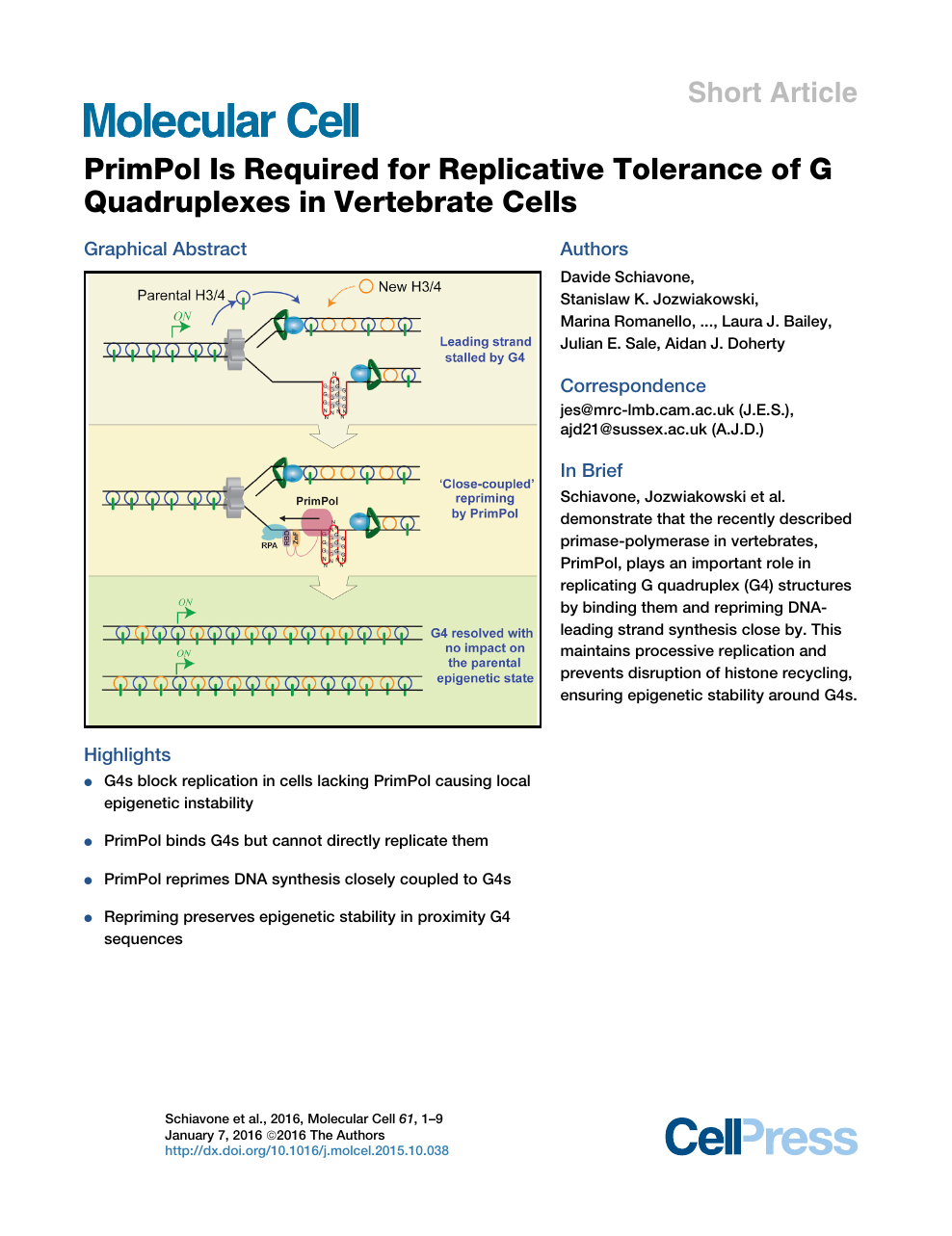 Primpol Is Required For Replicative Tolerance Of G Quadruplexes In Vertebrate Cells Topic Of Research Paper In Biological Sciences Download Scholarly Article Pdf And Read For Free On Cyberleninka Open Science