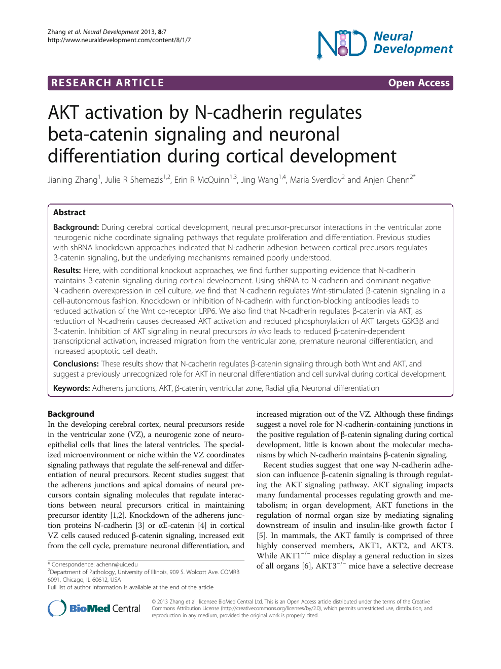Akt Activation By N Cadherin Regulates Beta Catenin Signaling And Neuronal Differentiation During Cortical Development Topic Of Research Paper In Biological Sciences Download Scholarly Article Pdf And Read For Free On Cyberleninka Open