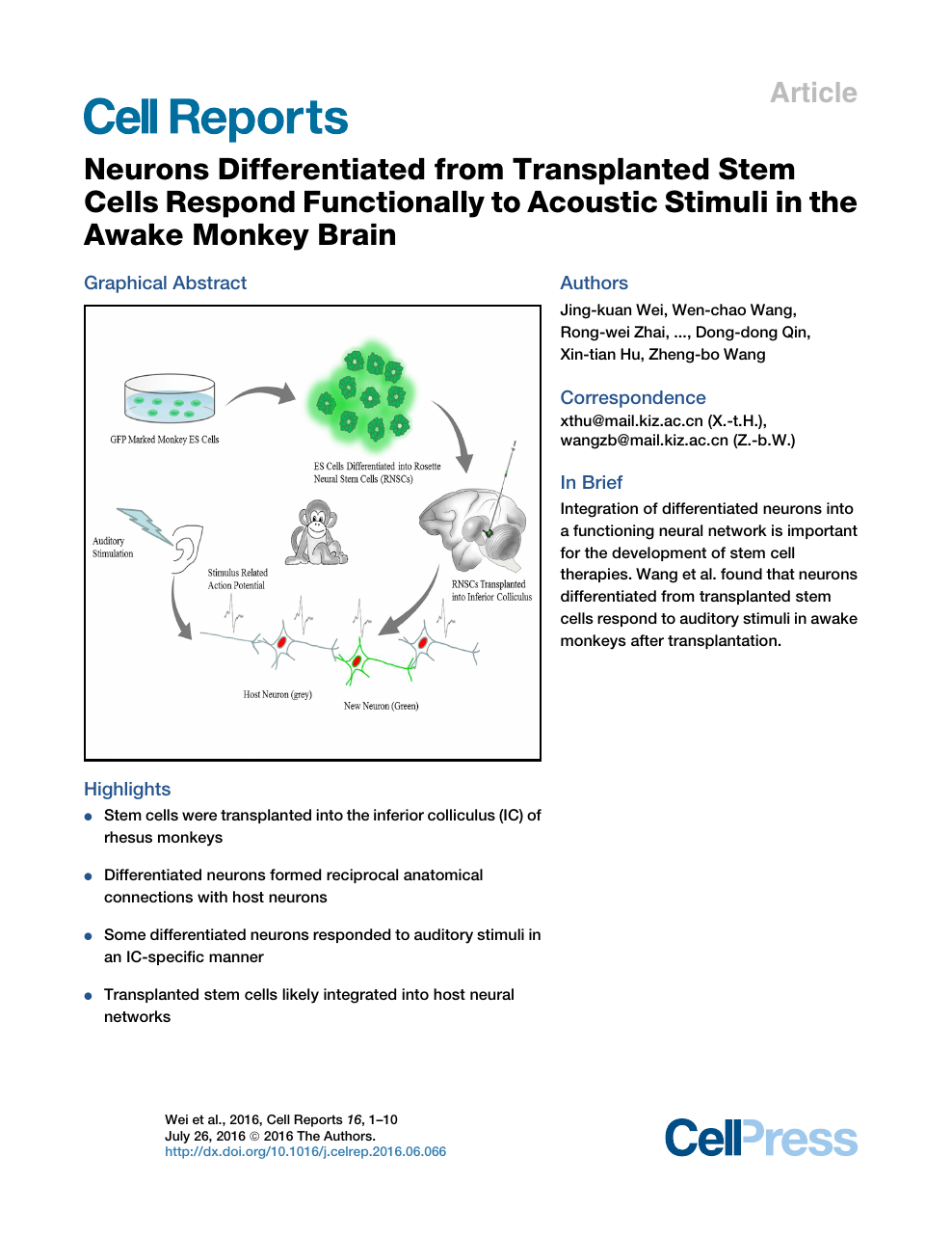 Neurons Differentiated From Transplanted Stem Cells Respond Functionally To Acoustic Stimuli In The Awake Monkey Brain Topic Of Research Paper In Biological Sciences Download Scholarly Article Pdf And Read For Free